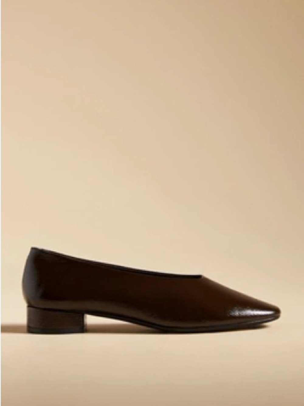 Jeffrey Campbell Women's Pointed Low Heel Flats in Dark Brown